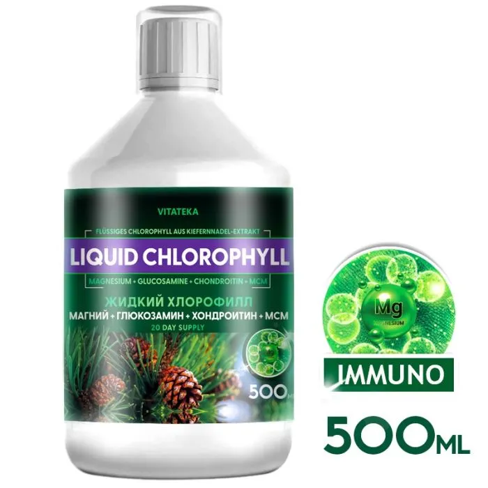 Chlorophyll Mg + glucosamine + chondroitin + MSM, 500 ml
